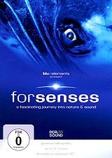 купить blue elements present: forsenses, купить 