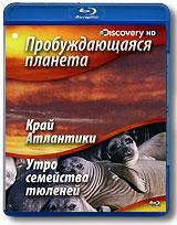 купить discovery: пробуждающаяся планета. край атлантики / утро семейства тюлений (blu-ray), купить sunrise earth: edge of the atlantic / sunrise seal colony