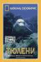 обложка National Geographic Video. Тюлени