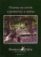 обложка Охота на оленя, куропатку и зайца. Фильм 37
