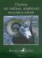 обложка Охота на кабана, муфлона, косулю и оленя. Фильм 18
