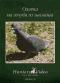 обложка Охота на голубя из шалаша. Фильм 39