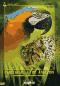 обложка Вокруг света Vol.1: Крупнейшие заповедники Бразилии